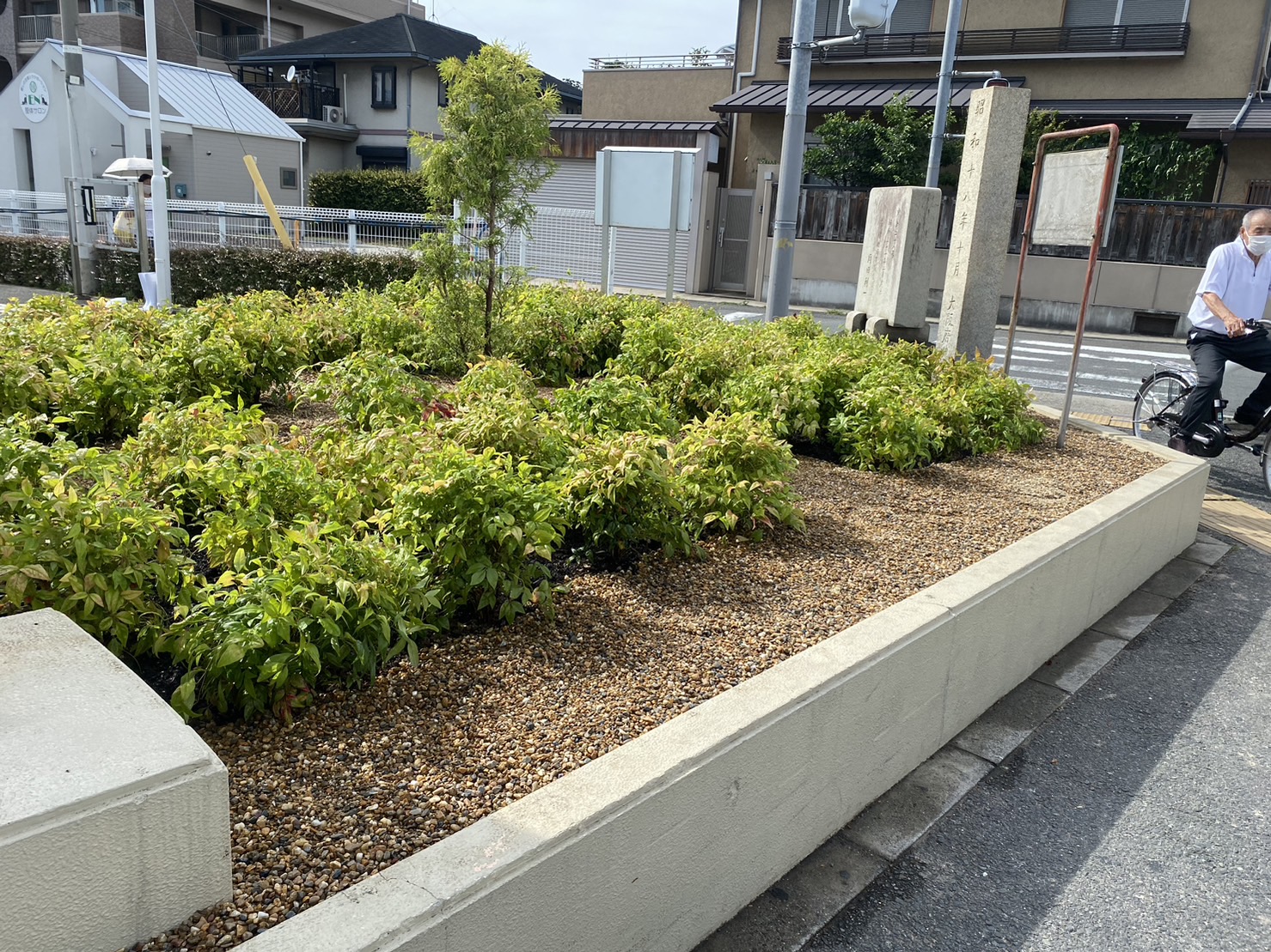 大阪府　植樹工事